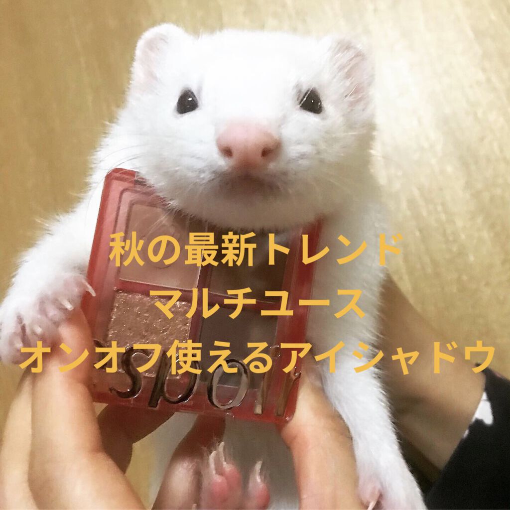 NEWリアルアイハンディパレット/espoir/アイシャドウパレットを使ったクチコミ（1枚目）