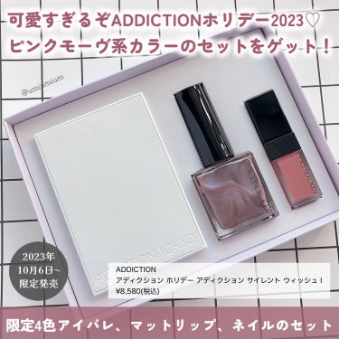 ホリデー アディクション サイレント ウィッシュⅠ/ADDICTION/メイクアップキットを使ったクチコミ（2枚目）