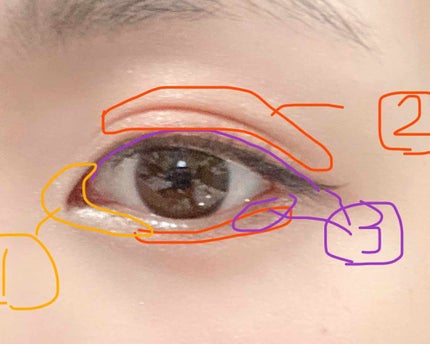 トーンアップアイシャドウ/CEZANNE/アイシャドウパレットを使ったクチコミ(3枚目)