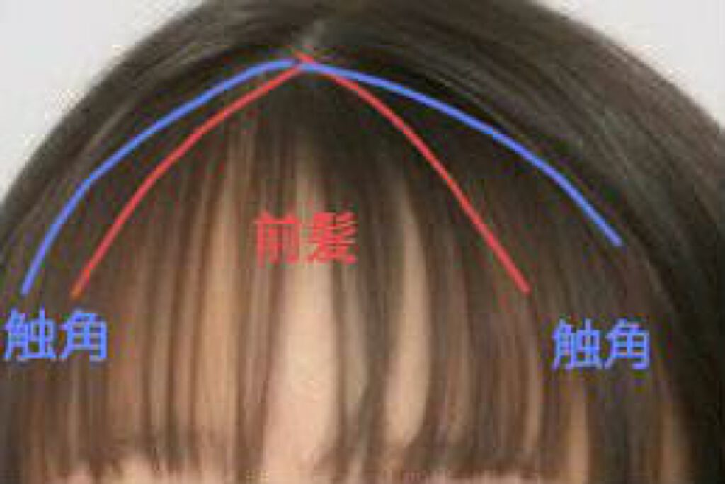 柳屋 あんず油/柳屋あんず油/ヘアオイルを使ったクチコミ(4枚目)