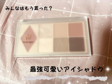 ウォンジョンヨ W デイリームードアップパレット /Wonjungyo/アイシャドウパレットを使ったクチコミ(1枚目)