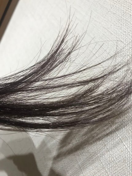 エンシェールズカラーバター/エンシェールズ/ヘアカラーを使ったクチコミ(7枚目)