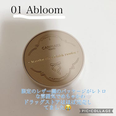 マシュマロフィニッシュパウダー　～Abloom～/キャンメイク/プレストパウダーを使ったクチコミ（2枚目）