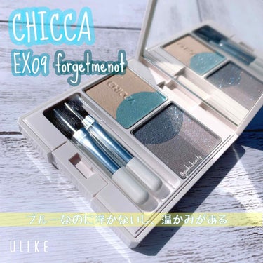 CHICCA アイシャドウ 限定色 EX09  フォーゲットミーノット