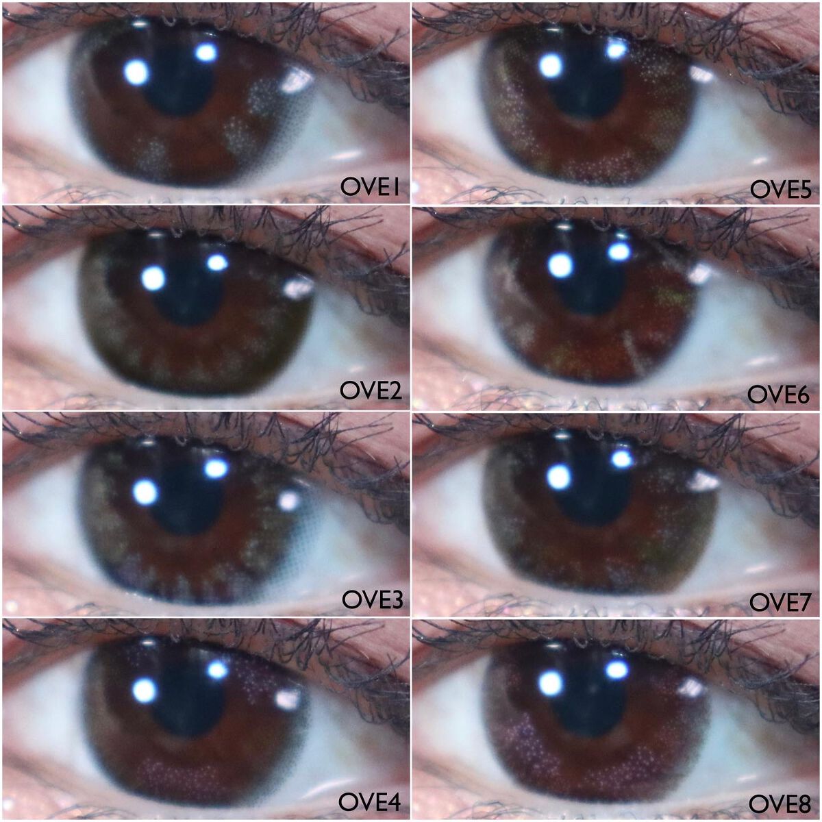 OvE(オヴィ) 1day/OvE/ワンデー(1DAY)カラコンを使ったクチコミ(7枚目)