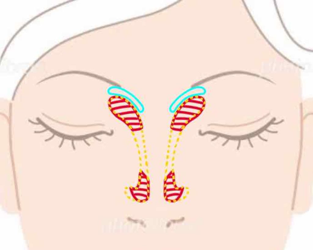 RINGO on LIPS 「団子鼻を卒業できるノーズシャドウのやり方!!! 【説明】1.画..」(2枚目)