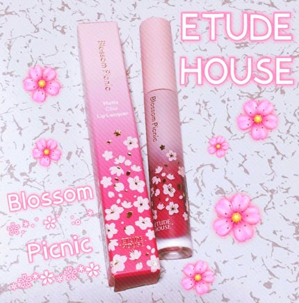 ピクニック マットシックリップラッカー/ETUDE/口紅を使ったクチコミ(1枚目)