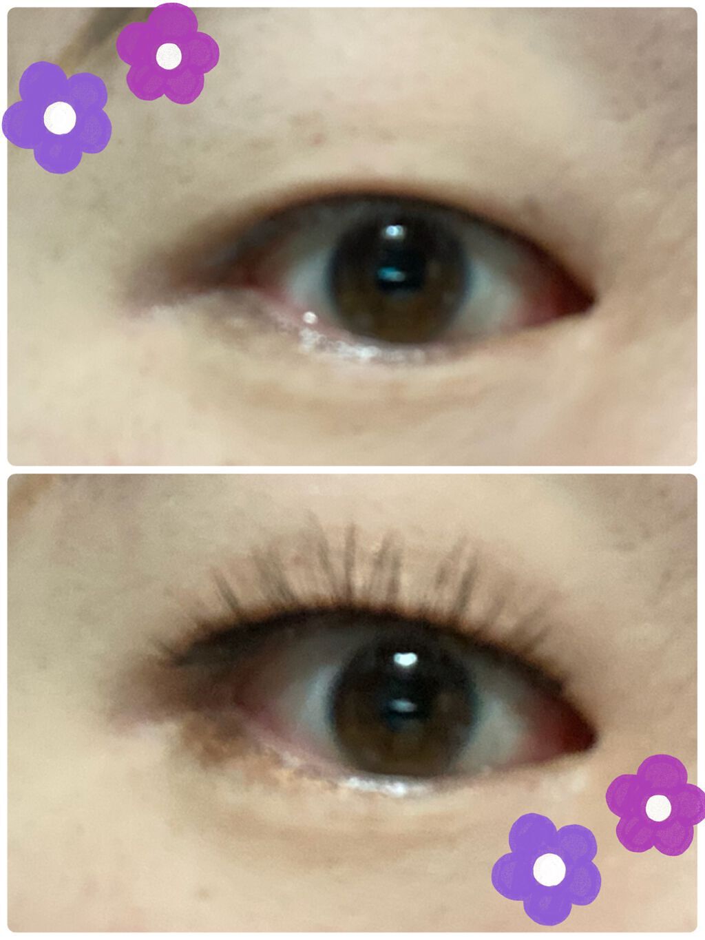 アイラッシュグルー/ミッシュブルーミン/つけまつげを使ったクチコミ(4枚目)