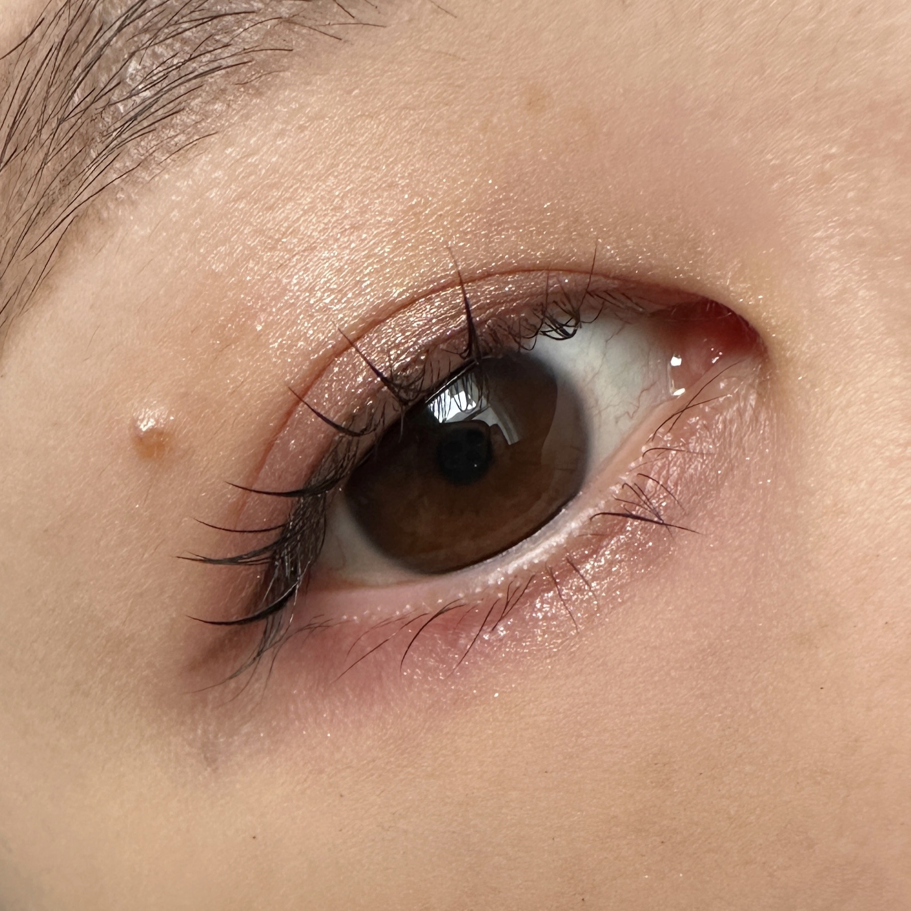 オンブル ドゥ エルメス パレット クワテュール 06 オンブル・モルドレ/エルメス/アイシャドウパレットを使ったクチコミ（2枚目）