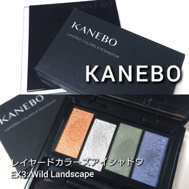 レイヤードカラーズアイシャドウ EX3 Wild Landscape（限定）/KANEBO/パウダーアイシャドウを使ったクチコミ（2枚目）