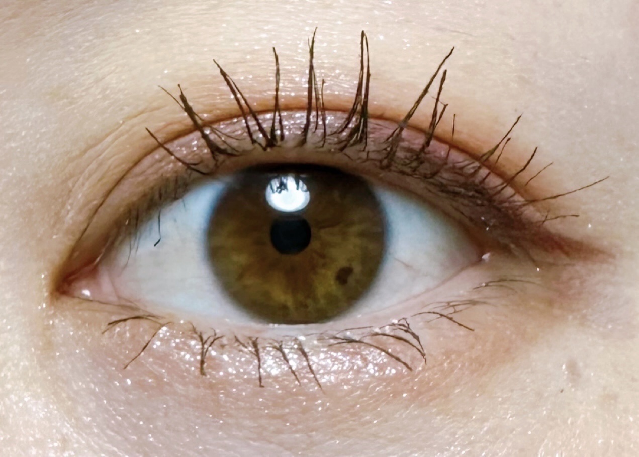 クイックラッシュカーラー/キャンメイク/マスカラ下地を使ったクチコミ（2枚目）