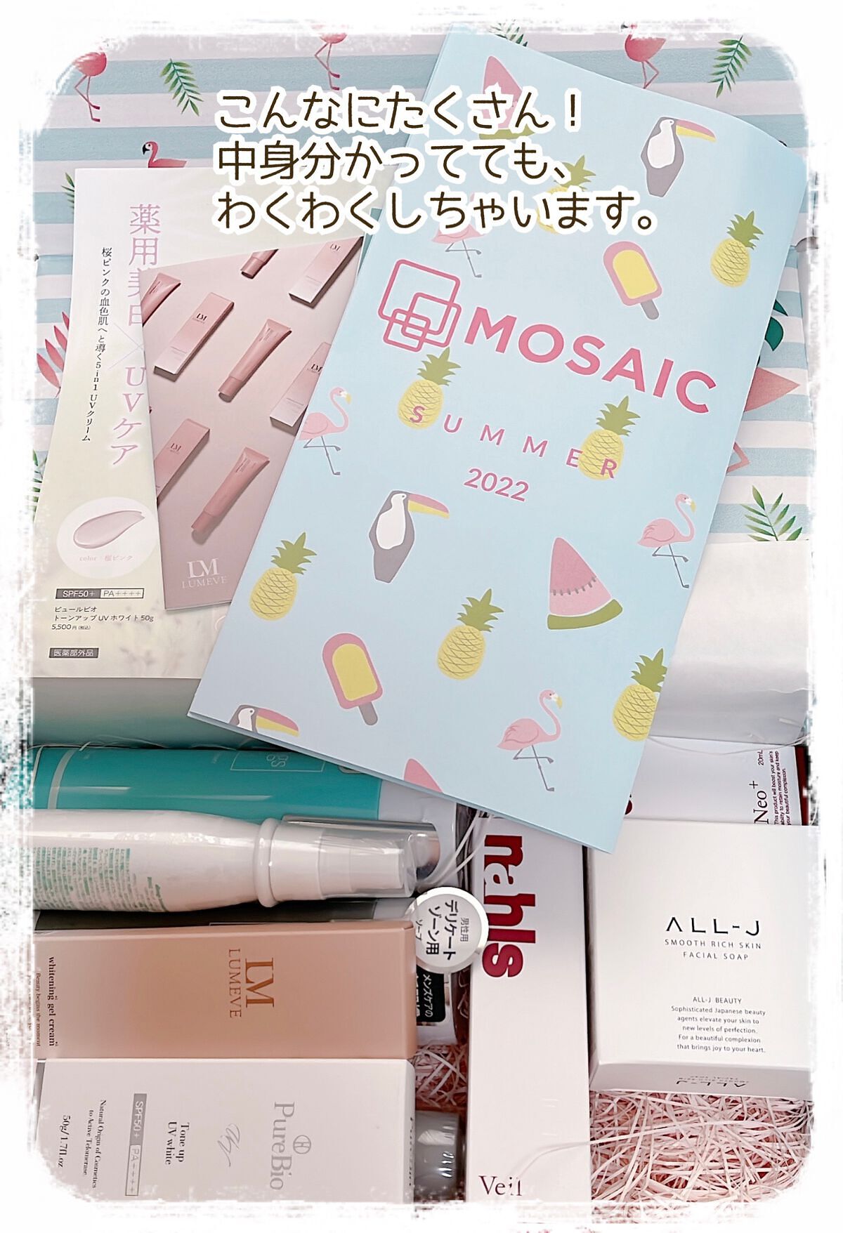 MOSAIC ボックス/MOSAIC/その他キットセットを使ったクチコミ(3枚目)