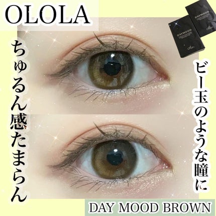 デームードブラウンマンスリー (DAYMOOD BROWN monthly)/OLOLA/1ヶ月(1MONTH)カラコンを使ったクチコミ(1枚目)