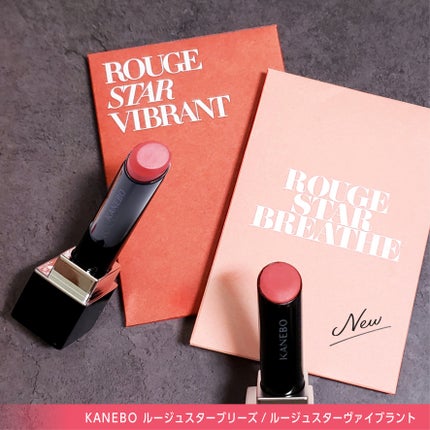 ルージュスターヴァイブラント/KANEBO/口紅を使ったクチコミ(8枚目)