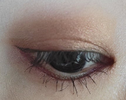 レ ベージュ パレット ルガール/CHANEL/アイシャドウパレットを使ったクチコミ(7枚目)