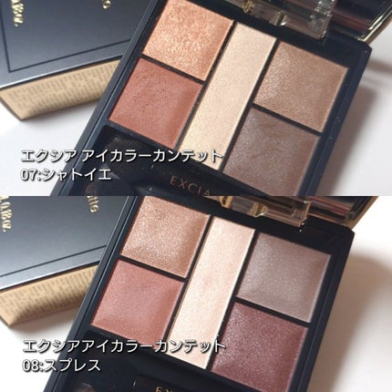エクシア アイカラー カンテット/ALBION/アイシャドウパレットを使ったクチコミ(2枚目)