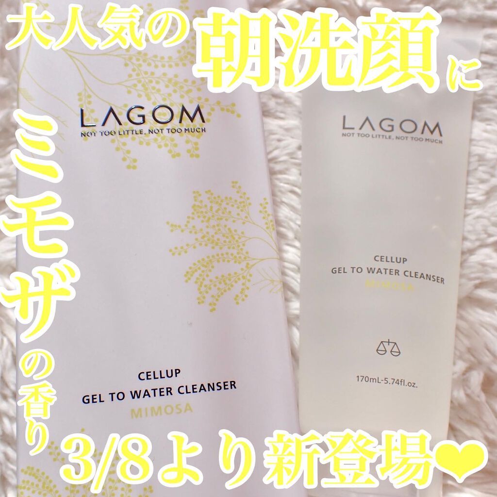 ジェルトゥウォーター クレンザー (MI)/LAGOM /その他洗顔料を使ったクチコミ（1枚目）