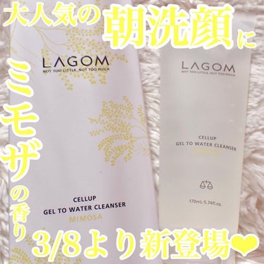 ジェルトゥウォーター クレンザー (MI)/LAGOM /クレンジングジェルを使ったクチコミ（1枚目）