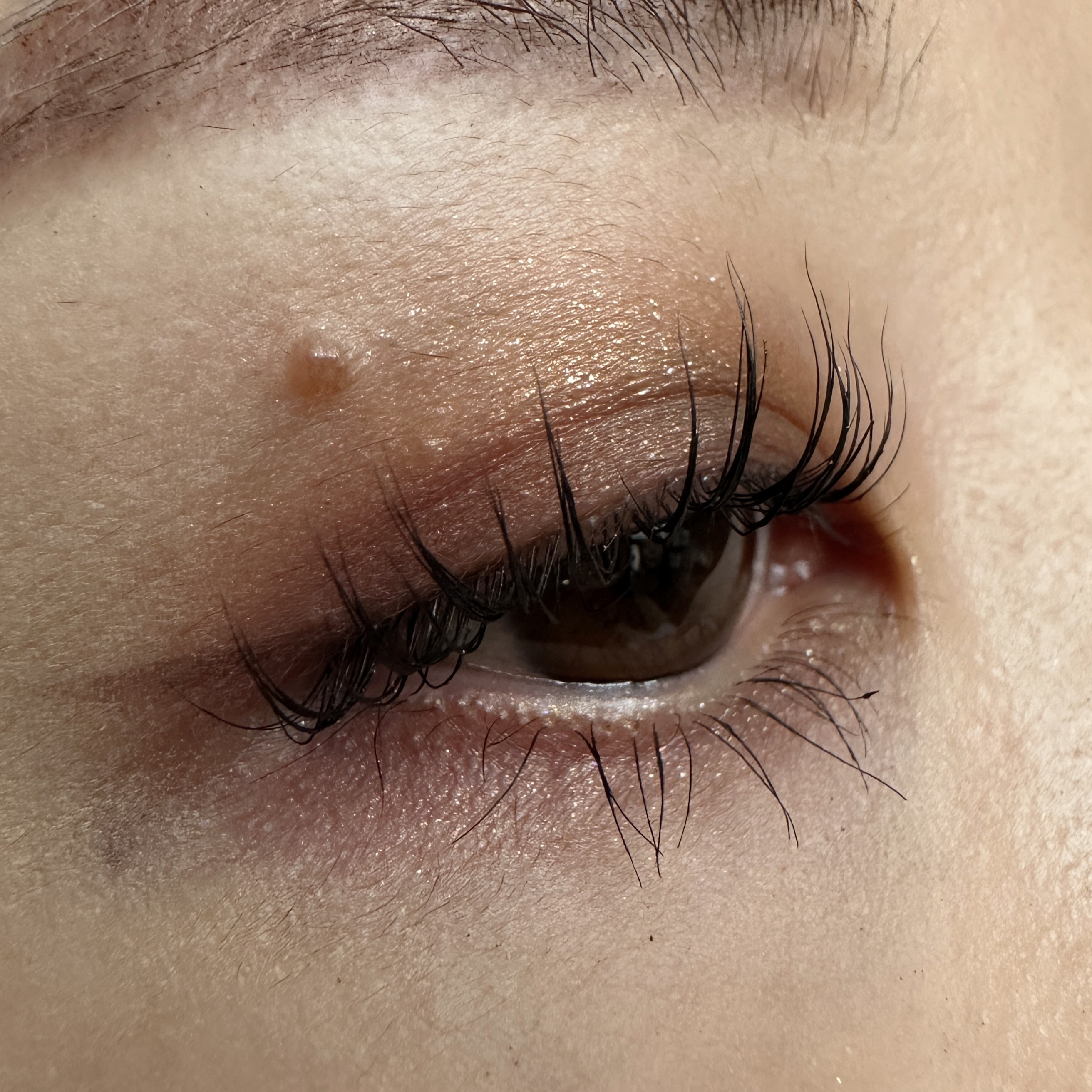 トーン タッチ アイズ/SUQQU/単色アイシャドウを使ったクチコミ（3枚目）