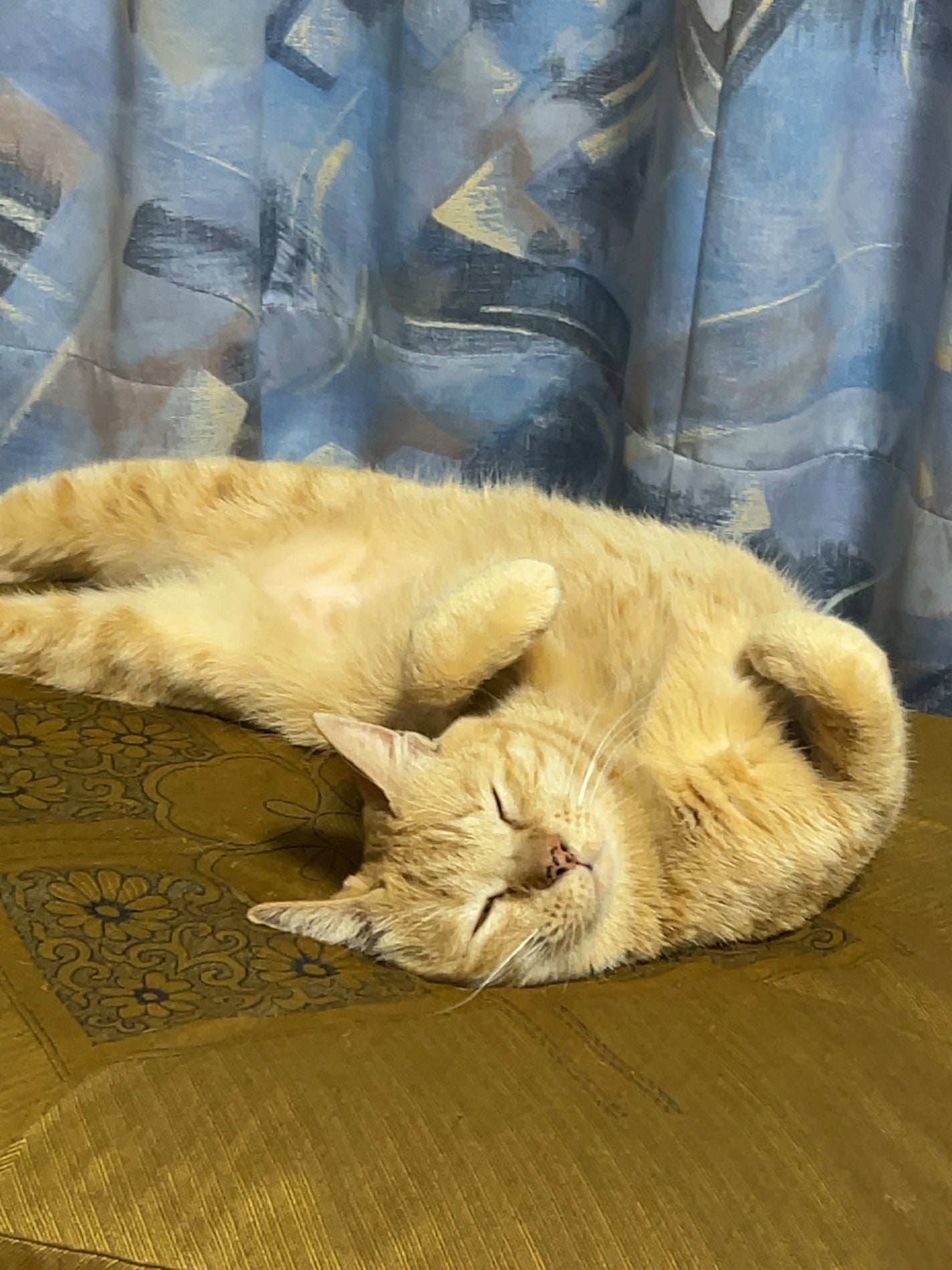 ホリデーコレクション パレット 2024/THREE/アイシャドウパレットを使ったクチコミ(5枚目)