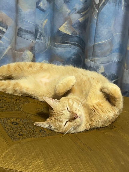 ホリデーコレクション パレット 2024/THREE/アイシャドウパレットを使ったクチコミ(5枚目)