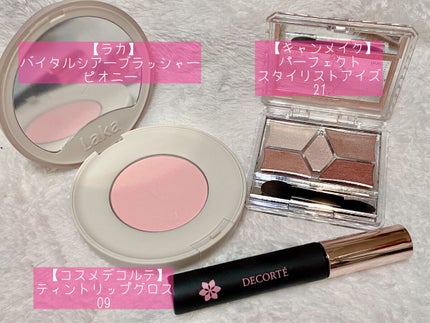 オペラ リップティント N/OPERA/リップティントを使ったクチコミ(9枚目)