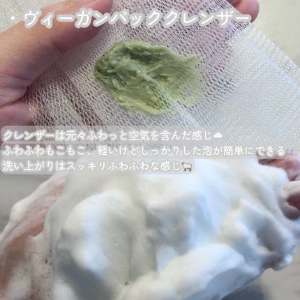 ヴィーガンパッククレンザー/WHIPPED/洗顔フォームを使ったクチコミ(3枚目)