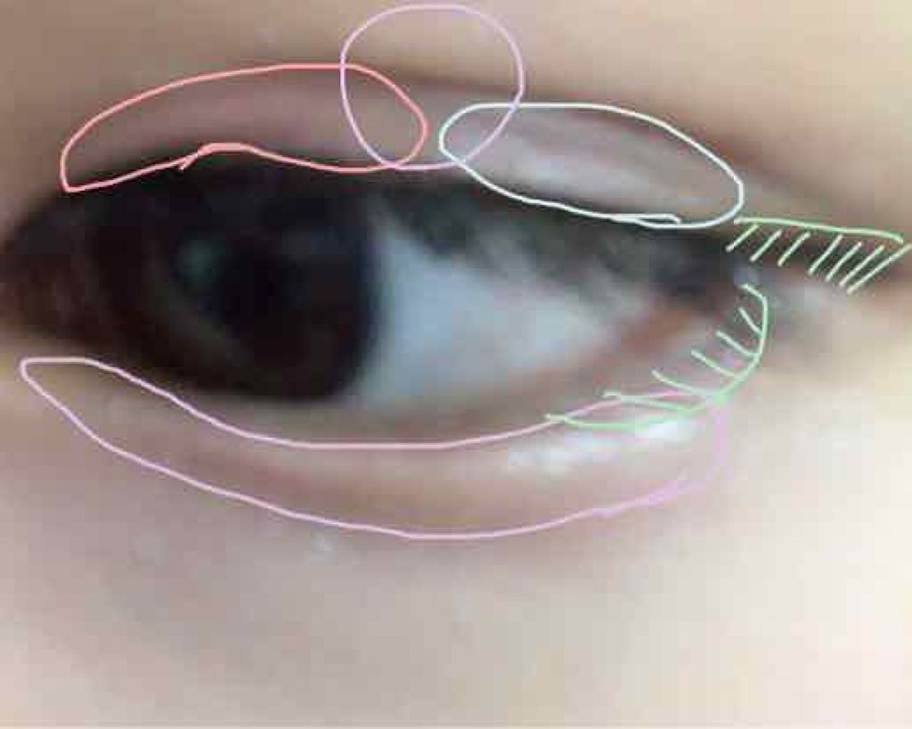 ナチュラル チークN/CEZANNE/パウダーチークを使ったクチコミ（2枚目）