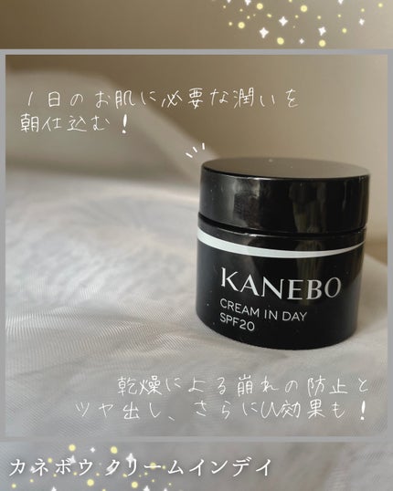クリーム イン デイ/KANEBO/フェイスクリームを使ったクチコミ(1枚目)