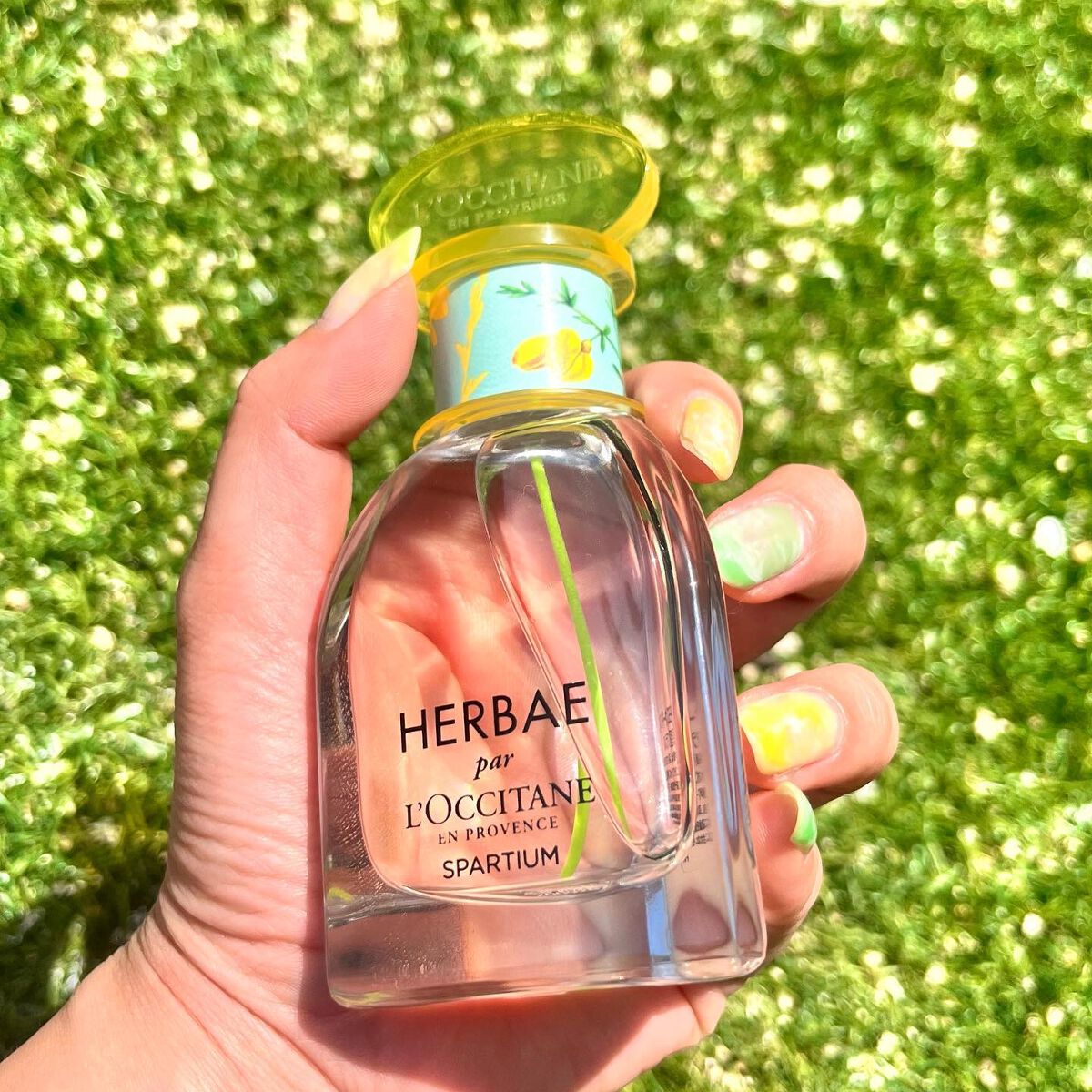 エルバガーデン オードトワレ/L'OCCITANE/香水(レディース)を使ったクチコミ(2枚目)