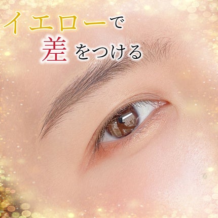 アイプランナー/excel/単色アイシャドウを使ったクチコミ(1枚目)