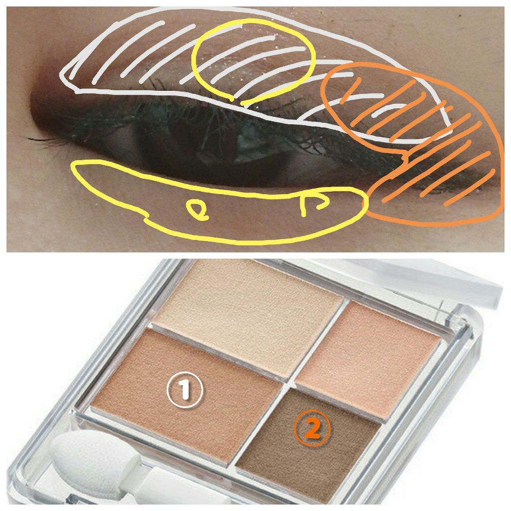 グラデーション アイシャドウ/ちふれ/アイシャドウパレットを使ったクチコミ(2枚目)