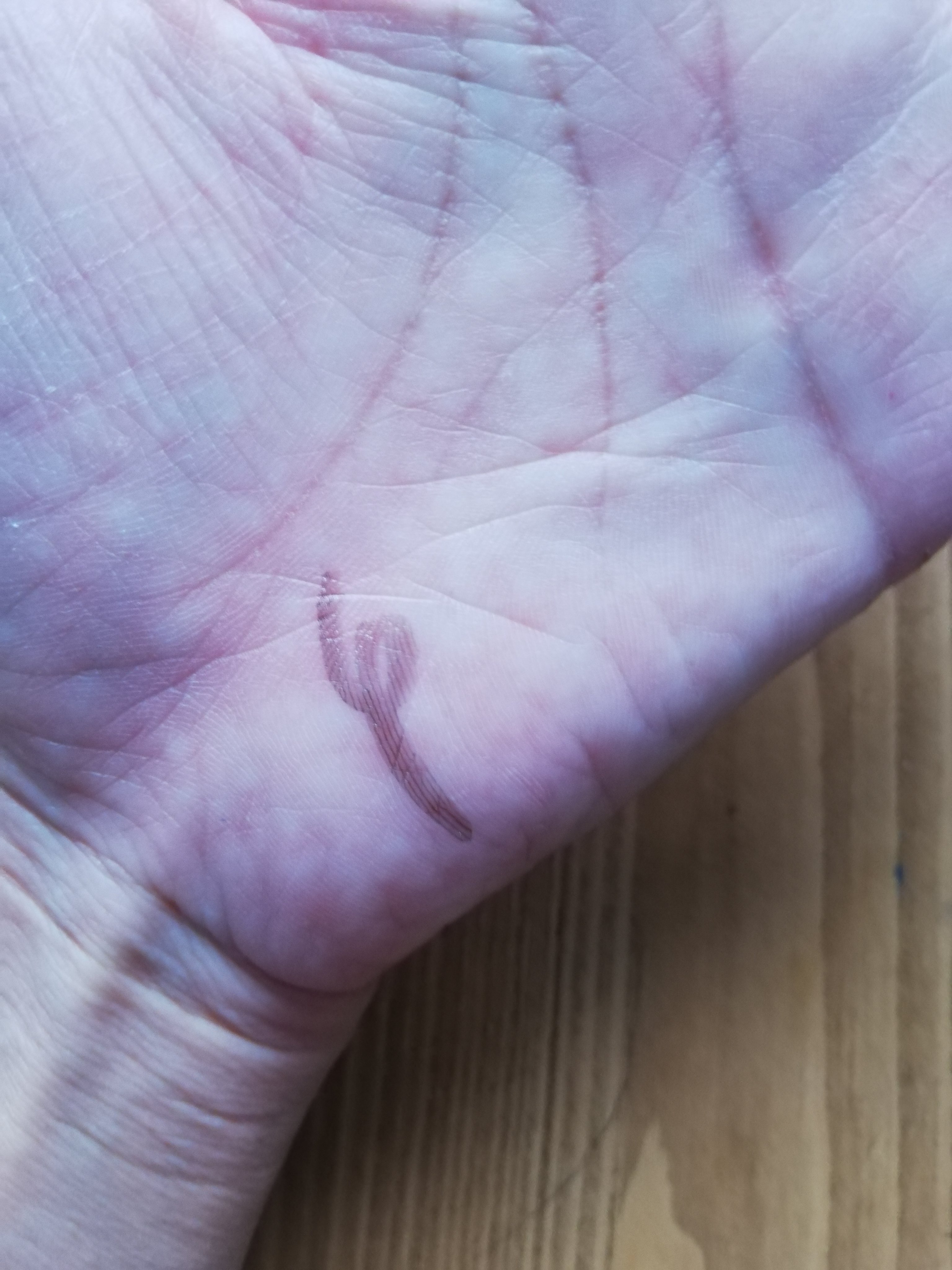 トキメキトゥインクルアイライナー 03 スパイラルギャラクシー/キャンメイク/リキッドアイライナーを使ったクチコミ（3枚目）