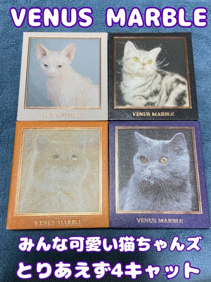 Venus Marble アイシャドウキャットシリーズ/Venus Marble/アイシャドウパレットを使ったクチコミ(1枚目)