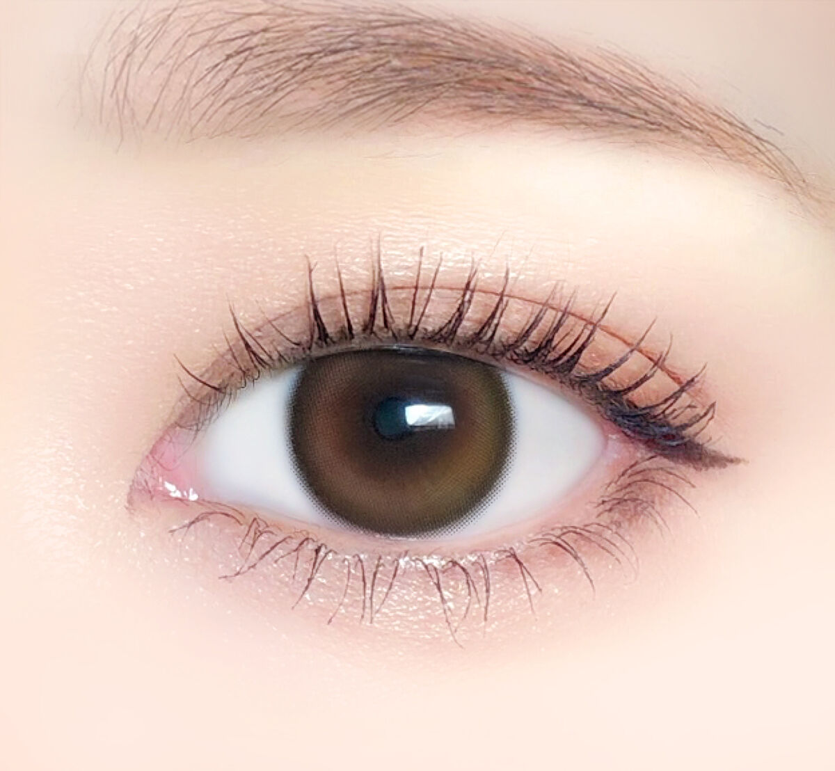 エバーカラーワンデーミリモア じらしてショコラ