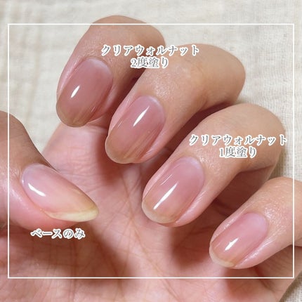 irogel E-33/irogel(イロジェル)/ジェルネイルの画像