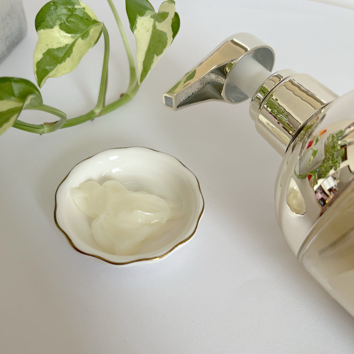 maruðŒãã©ãã100 on LIPS ãTHERATISDreamyMoistã·ã£ã³ããŒããã¢ããªãŒã..ãïŒ4æç®ïŒ