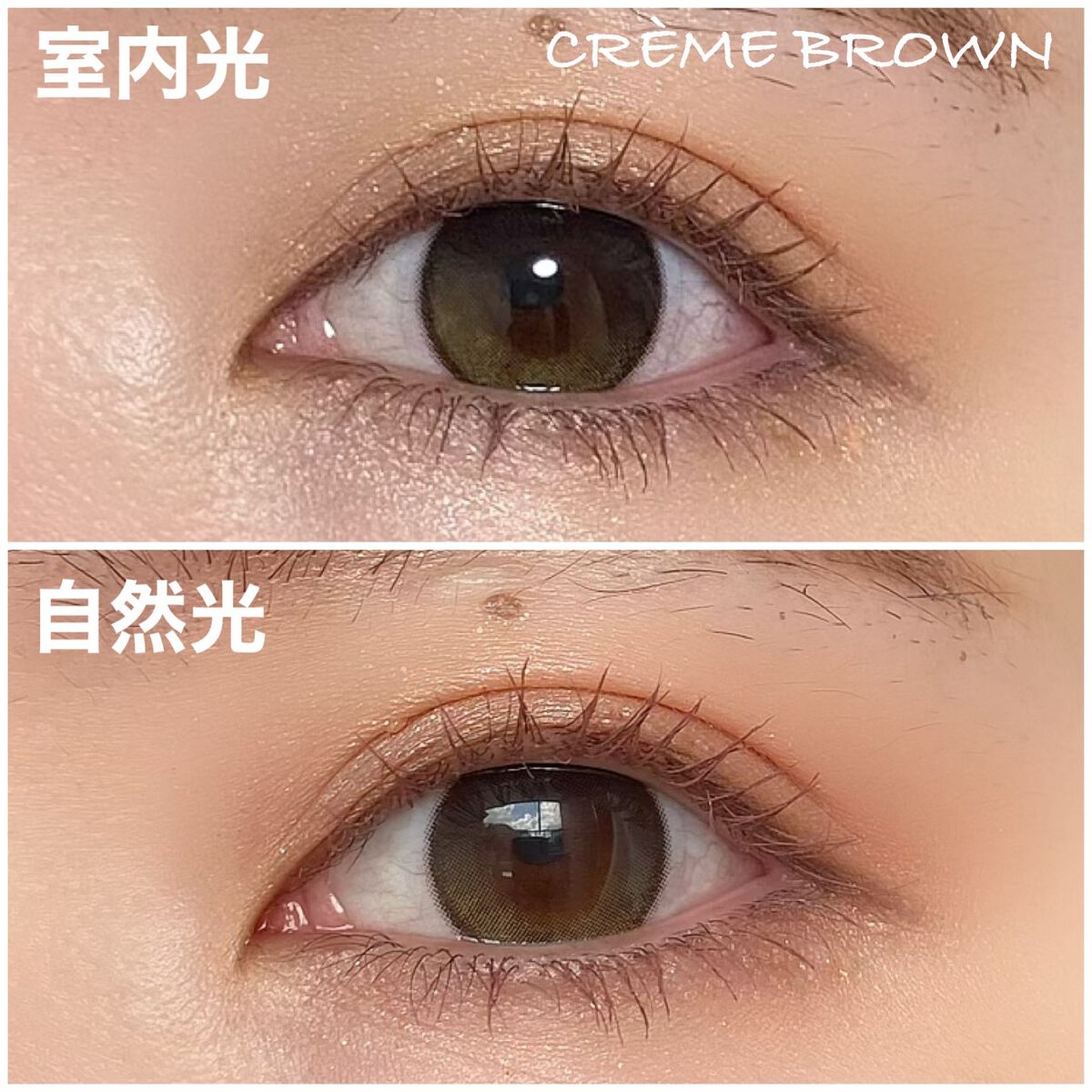 Secretive Kristen 1day クリームブラウン/Hapa kristin/ワンデー（１DAY）カラコンを使ったクチコミ（3枚目）