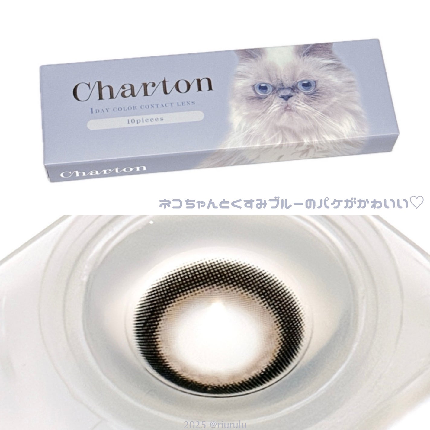 Charton 1day/Charton/ワンデー(1DAY)カラコンを使ったクチコミ(3枚目)