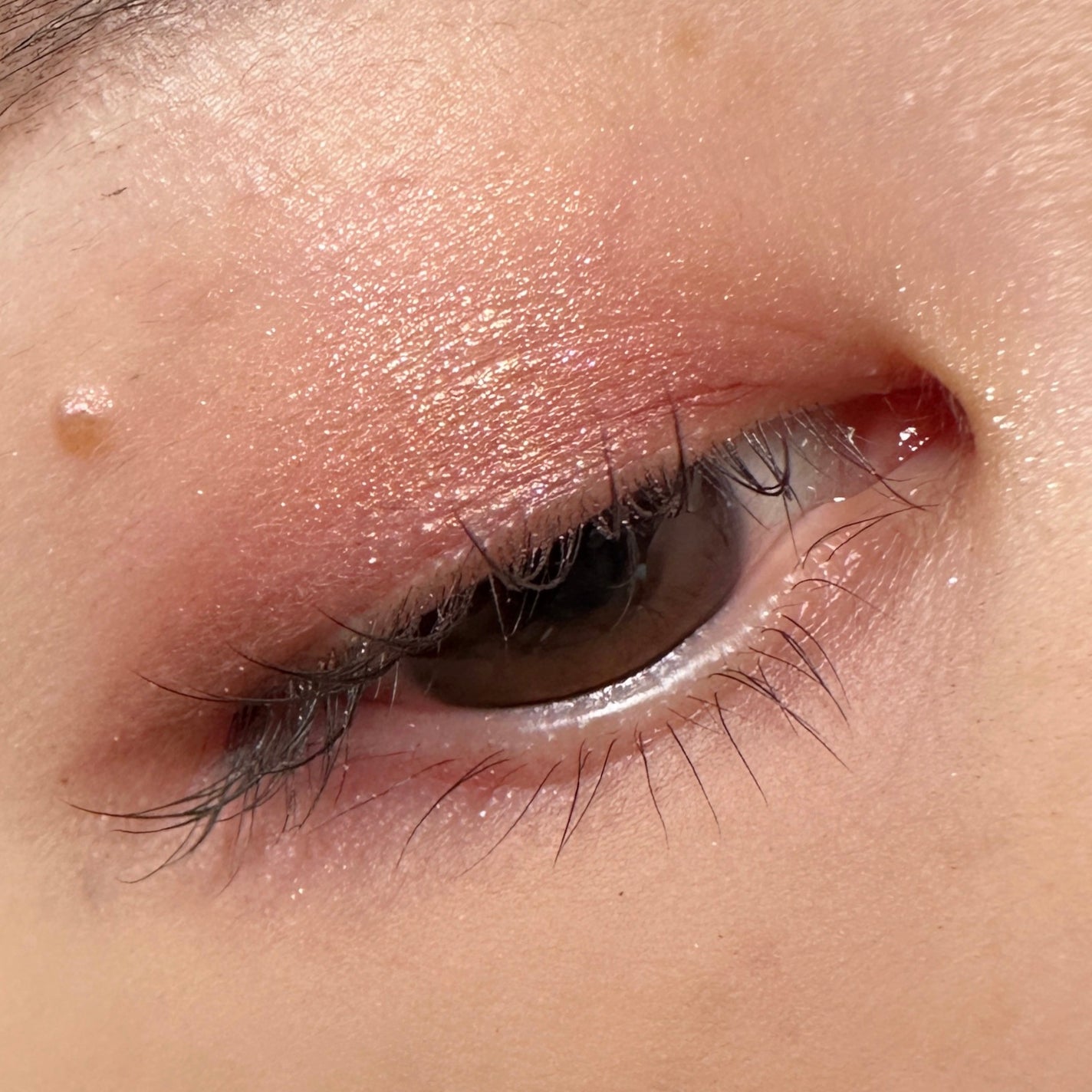 Mother Ship VII Divine Rose /PAT McGRATH LABS/アイシャドウパレットを使ったクチコミ(3枚目)