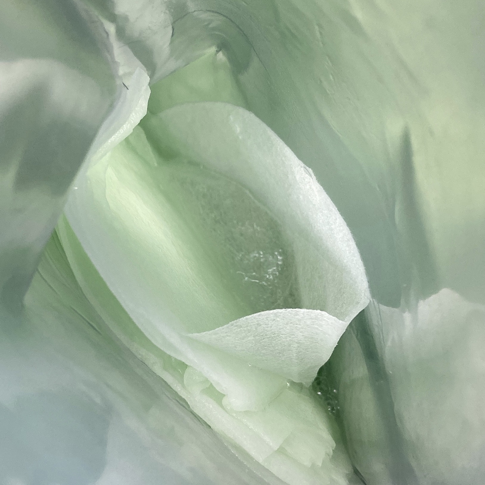 シカレチA セブンデイズマスク/VT/シートマスク・パックを使ったクチコミ（2枚目）