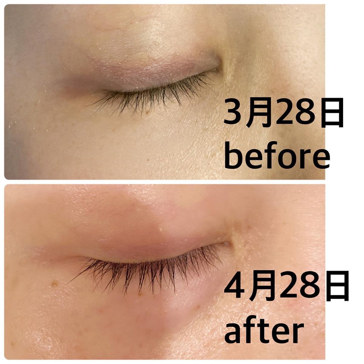 アイラッシュセラム/VIYEUX/まつげ美容液を使ったクチコミ(4枚目)