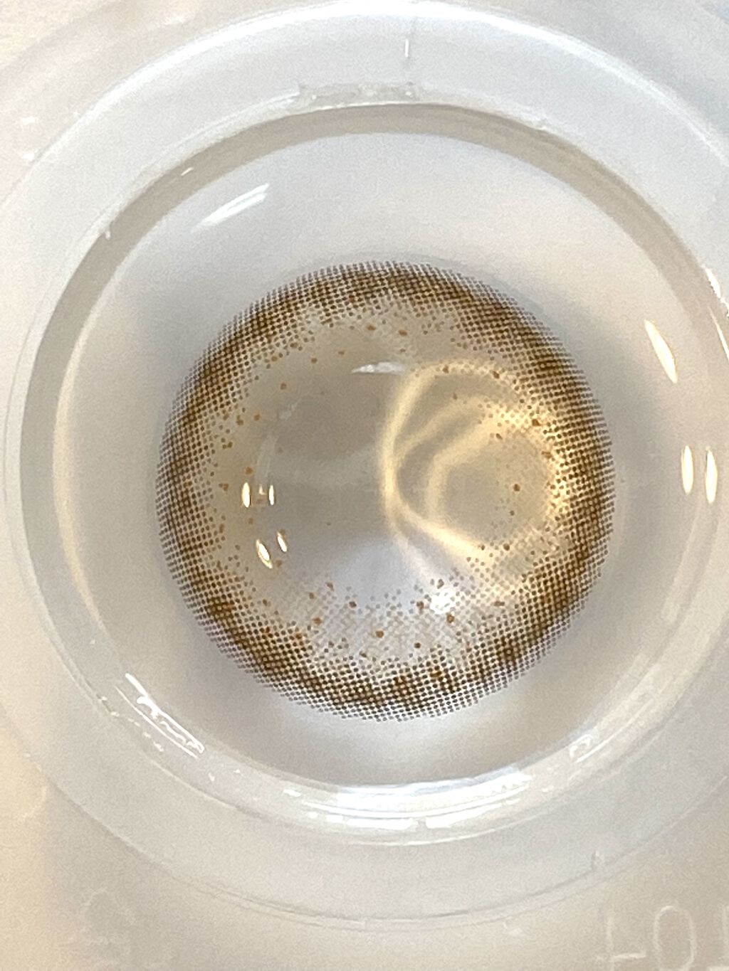 FLANMY 1day シェルコーラルグレージュ/FLANMY/ワンデー（１DAY）カラコンを使ったクチコミ（3枚目）