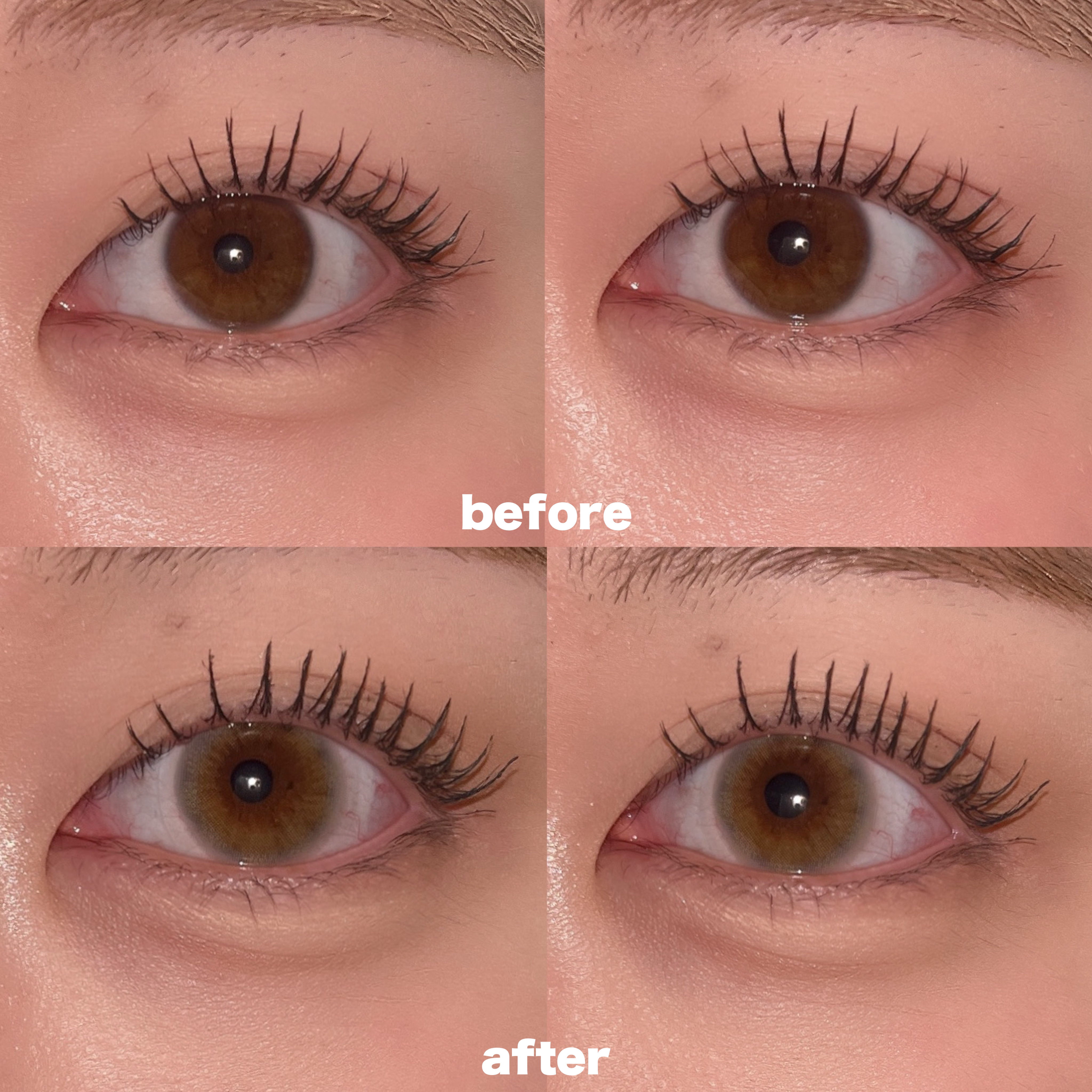 perse 1day エアーグレー/perse/ワンデー（１DAY）カラコンを使ったクチコミ（2枚目）