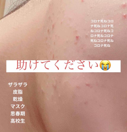 を使ったクチコミ(1枚目)