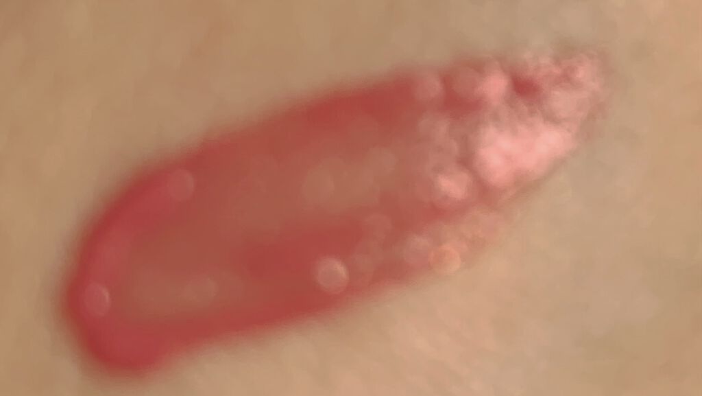 フルーツミラーリップグロス 09ピーチジェリー/Joocyee/リップグロスを使ったクチコミ（3枚目）