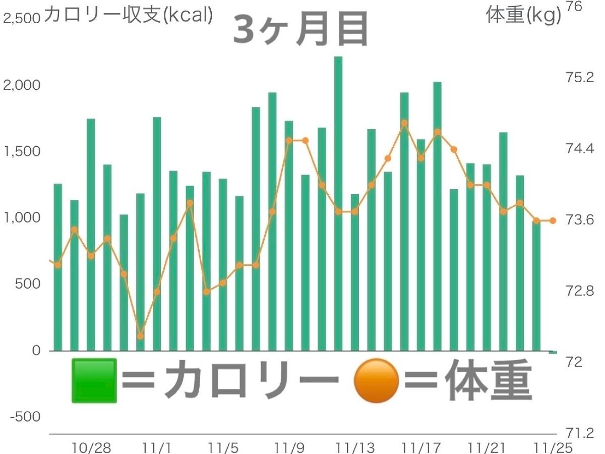 くろのにゃんこ on LIPS 「こんばんは☽・:*今回は今までしていたダイエット記録のまとめで..」(3枚目)