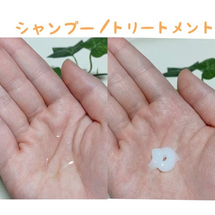 ドリーミー モイスト シャンプー/ヘアトリートメント/THERATIS/市販シャンプーを使ったクチコミ(3枚目)