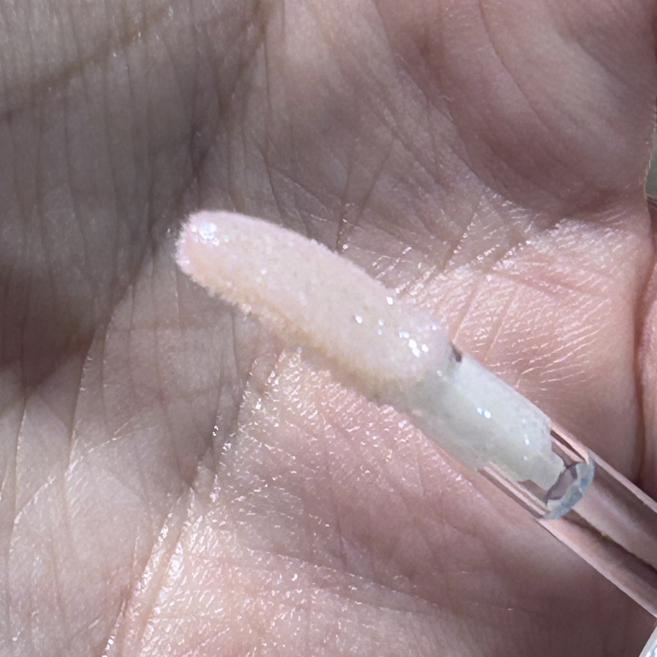 ちゅるるんグロス/b idol/リップグロスを使ったクチコミ（2枚目）