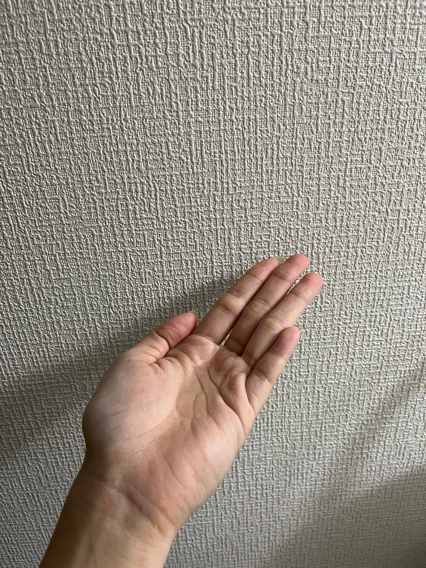 モイストミルク /SGNI/ヘアミルクを使ったクチコミ(4枚目)